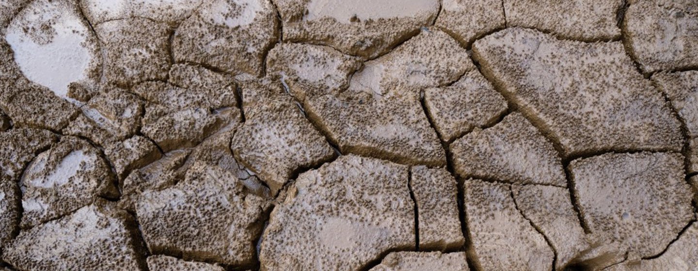 PMA revela que situação também é causada por anos de seca e clima irregular 