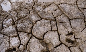 PMA revela que situação também é causada por anos de seca e clima irregular 
