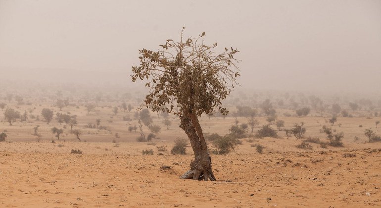 Área semidesértica en la región de Tera, en África.