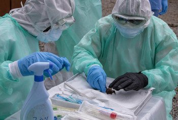 Международное сообщество прилагает большие усилия к борьбе с Эболой в странах Африки