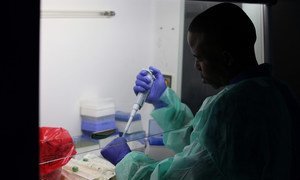 Watafiti nchini Sierra Leone wakichunguza virusi vya Ebola kwa popo 