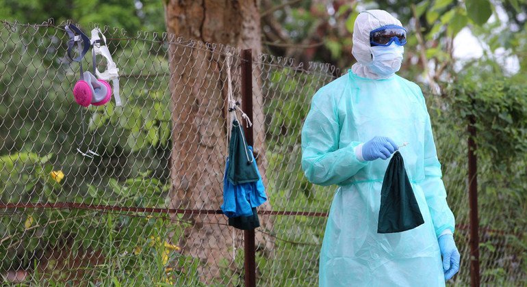 Watafiti nchini Sierra Leone wakichunguza virusi vya Ebola kutoka kwa popo 