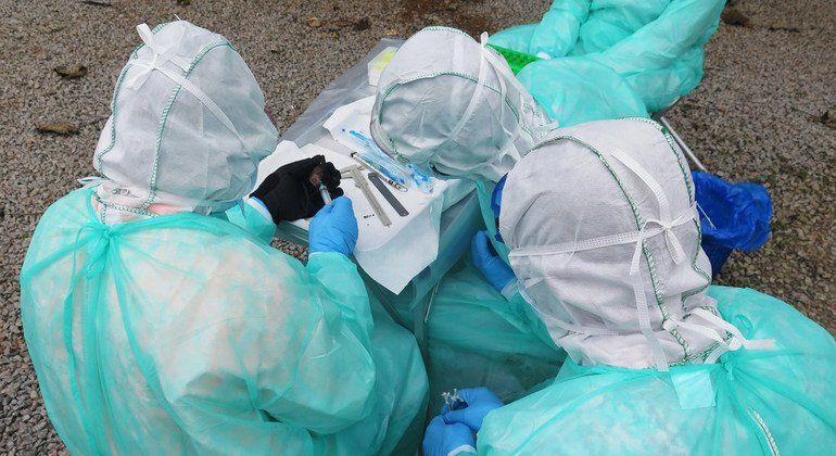 Watafiti wakichunguza virusi vya Ebola kwa popo 