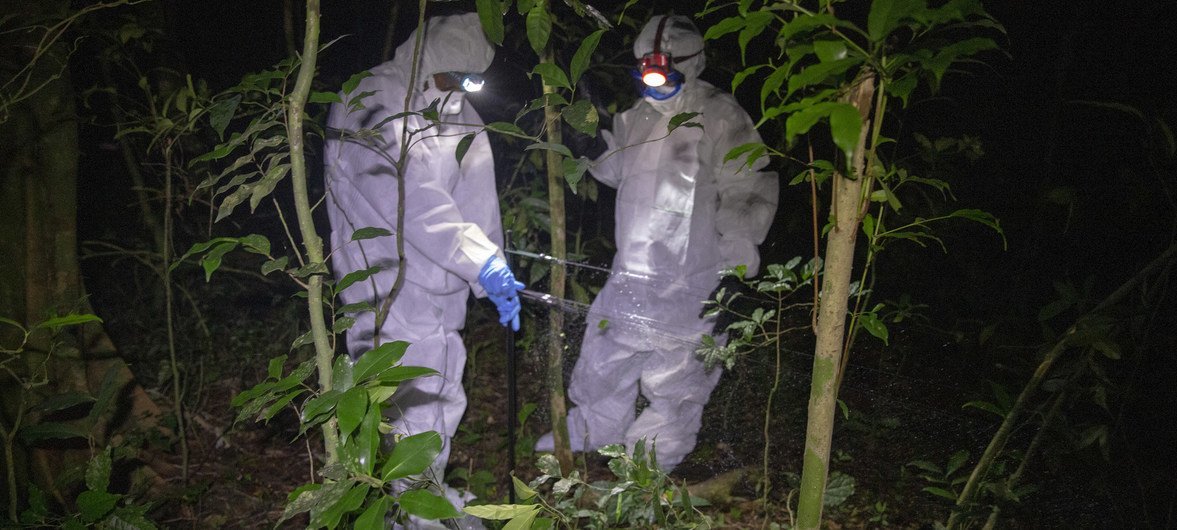 Investigadores de ébola en Sierra Leona.