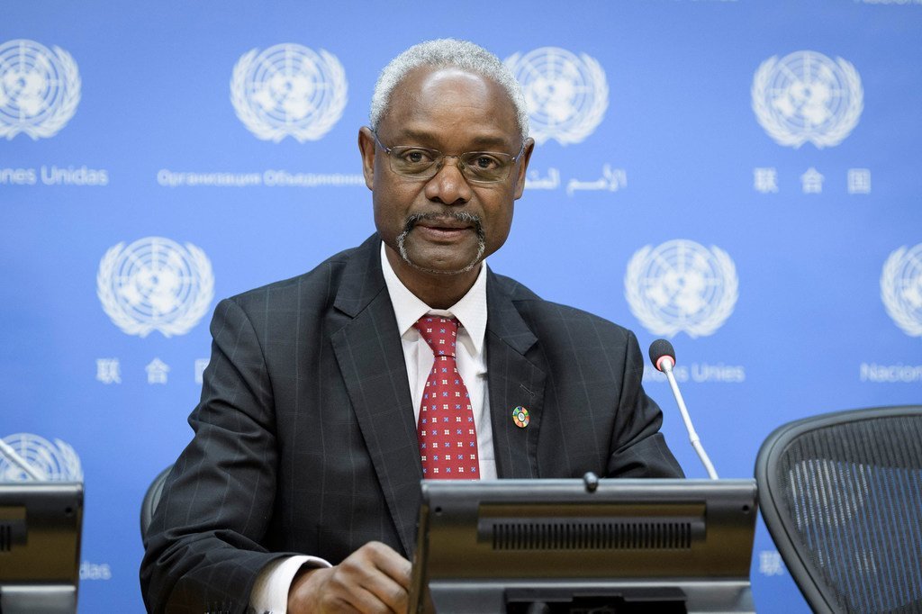  Ibrahim Thiaw, Conseiller spécial du Secrétaire général pour le Sahel lors d’une conférence de presse au siège de l'ONU le 20 décembre 2018.