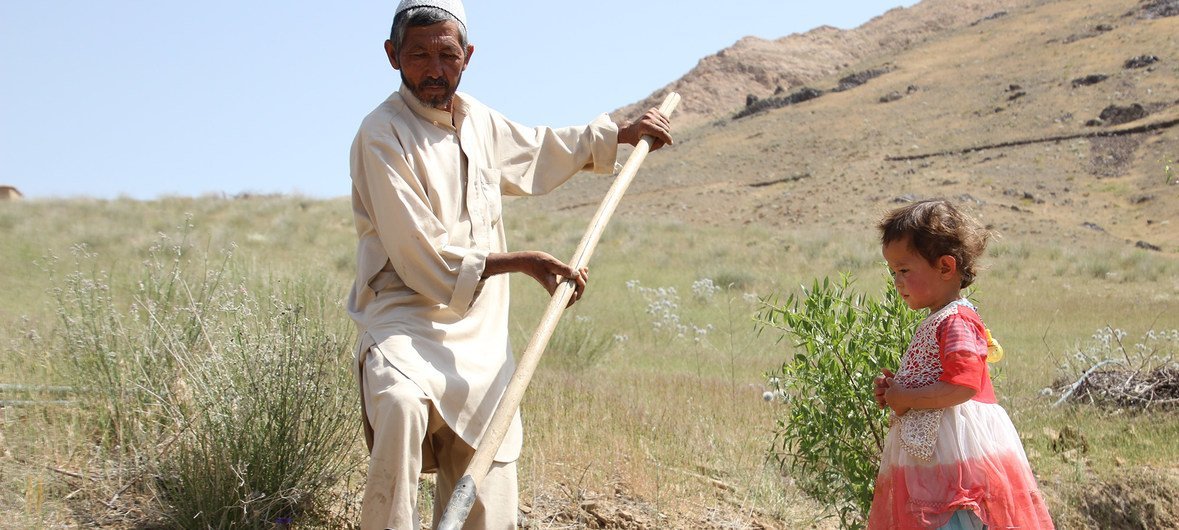 خير (يسار) هو أب لسبعة أطفال، لم يعد بإمكانه إطعامهم. دمر الجفاف أرضه في مقاطعة دايكوندي بأفغانستان؛ وهذا العام لم يحصد شيئا. (يونيو 2018)
