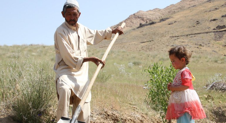 Khair (left) is the father of seven children, who is no longer able to feed his children. The drought has destroyed his land in Daykundi Province, Afghanistan; and this year he harvested nothing. (June 2018)