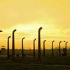 夕阳下的奥斯维辛集中营。这里已成为大屠杀、灭绝种族和恐怖暴行的象征。（2013年资料图片）