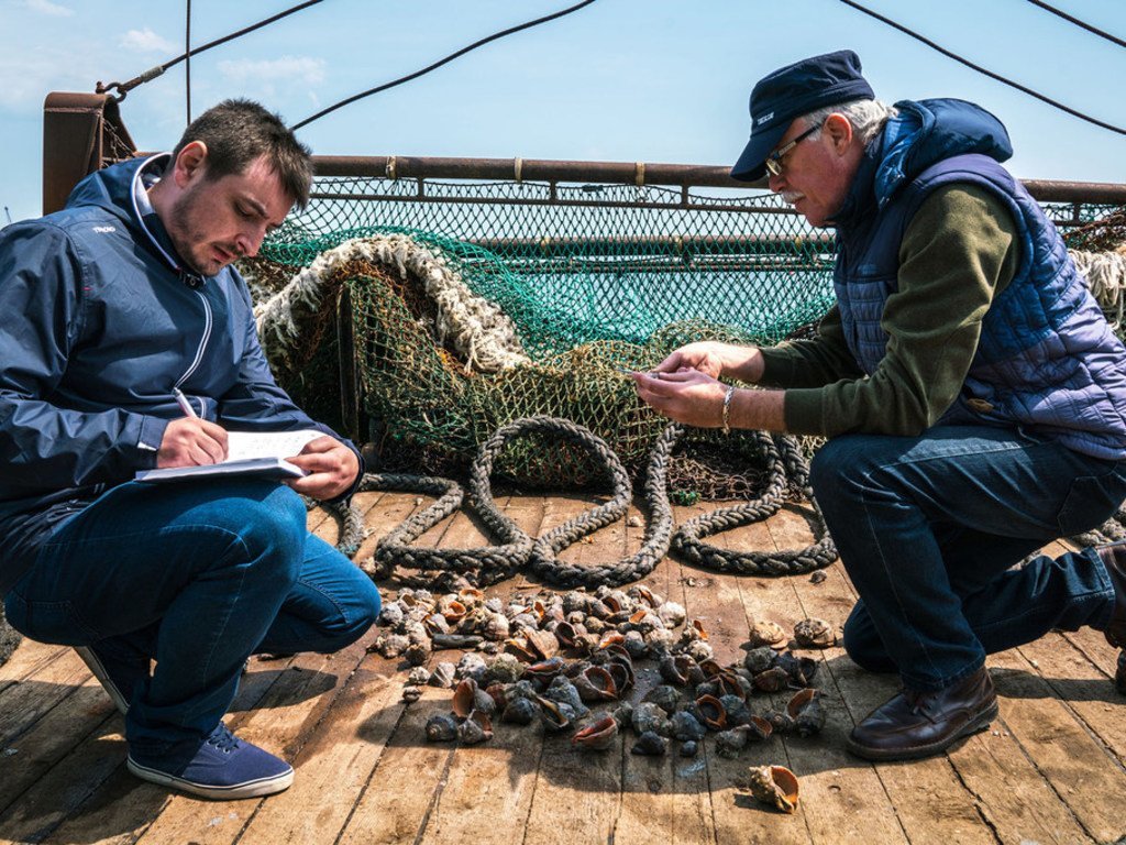 在罗马尼亚一个港口进行的渔网检查是评估渔获量的重要环节。 （2018年4月图片）
