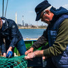 Com a nova ferramenta será possível identificar se um trabalhador da pesca pode ser vítima de tráfico.