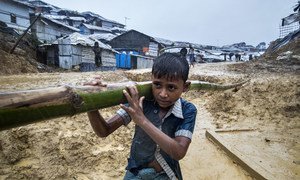 A boy carries bamboo along a very muddy road into the Balukali camp in Cox's Bazar, Bangladesh.  In preparation for the monsoon season, a frenzy of building and reinforcement required vast quantities of bamboo.  13 June 2018.