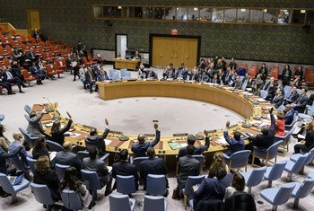 Les membres du Conseil de sécurité des Nations Unies adoptent à l'unanimité la résolution 2451 sur le Yémen. 21 décembre 2018.