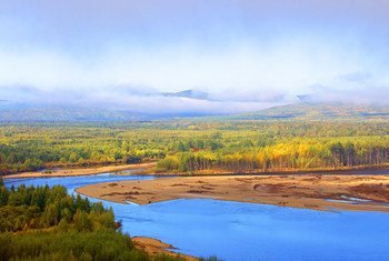 大兴安岭地处中国最北端，拥有大片寒温带森林，奔腾的河流与广阔的湿地，其生物多样性和独特的森林生态系统是十分珍贵的资源。图为大兴安岭秋色。