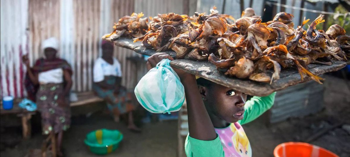 A girl sells dry fish in New Kru town, Liberia.