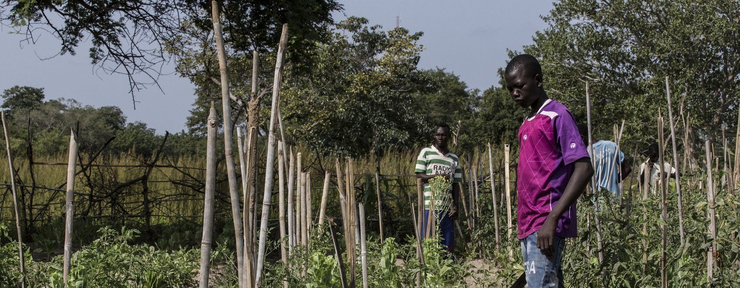Mataifa MINUSCA unatekeleza mradi wa matokeo ya haraka ya kuwezesha jamii kupata kipato na kujinusuru na umaskini
