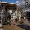 2019年1月9日，在黎巴嫩一个非正式定居点，这名来自叙利亚代尔祖尔的9岁难民男孩坐自家被水淹没的帐篷外。 