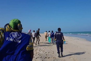 Wafanyakazi wa IOM huko Obock,Djibouti wakielekea kwenye eneo la Bahari ya Sham kusaidia mamlaka za Djibouti katika kusaka manusura na maiti za watu waliozama baharini.