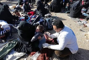 Беженцы в лагере Аль-Хол, расположенном на северо-востоке Сирии