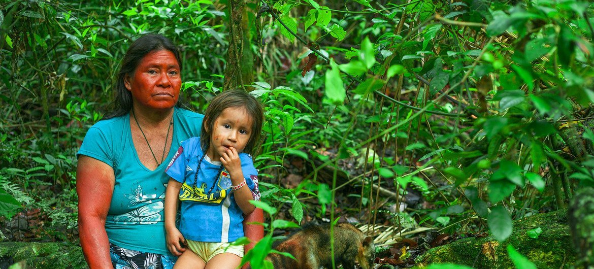 The Amarakaeri Community Reserve (RCA) is a 402,335.96 hectare naturally protected area managed by 10 communities of harakbuts, yines and machiguengas in Madre de Dios, in the Peruvian Amazon. 