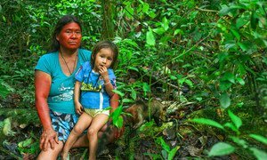 Quienes trabajan en la protección de la tierra, los recursos naturales y los derechos de los pueblos indígenas son los que más riesgos corren de ser criminalizados por sus actividades.. 