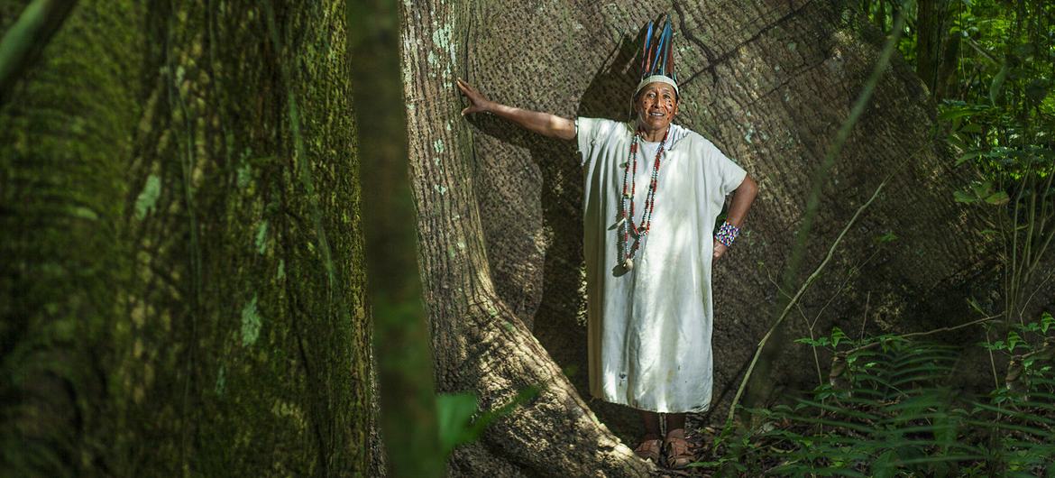 محمية أماراكاري تبلغ مساحتها 402,335.96 هكتار تديرها 10 مجتمعات في منطقة الأمازون البيروفية.