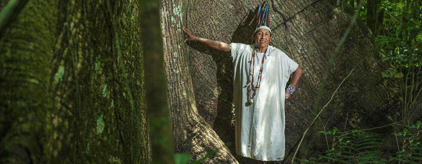 La réserve communale d'Amarakaeri est une zone naturelle protégée de 402 335,96 hectares gérée par 10 communautés harakbuts, yines et machiguengas à Madre de Dios, en Amazonie péruvienne La réserve communale d'Amarakaeri est une zone naturelle protégée de 402 335,96 hectares gérée par 10 communautés harakbuts, yines et machiguengas à Madre de Dios, en Amazonie péruvienne