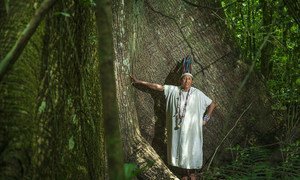 Comunidade Amarakaeri na Amazônia, no Peru. Alta comissária disse haver redução da aplicação da lei em países da Amazônia e do Pantanal