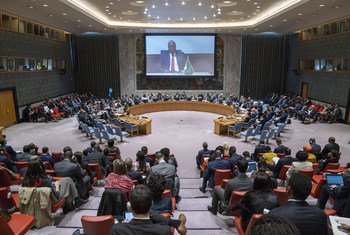 Debate de alto nivel del Consejo de Seguridad sobre los mercernarios y la desestabilización en África