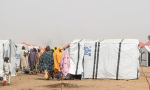 Gubio Camp in Maiduguri has received 4,500 new arrivals since November 2018, many of them in recent weeks following an attack by non-state armed groups in Baga, near the shores of Lake Chad, in north-east Nigeria.