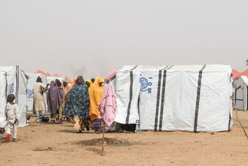 自2018年11月以来，迈杜古里的Gubio营地已经接纳了4500名新移民，其中许多人是在尼日利亚东北部地区遭到非国家武装团体袭击后的最近几周抵达的。