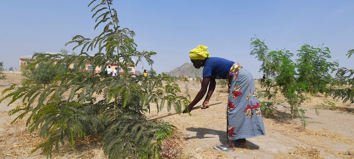 Au Cameroun, de nombreux jeunes ont été chassés de chez eux par le conflit et vivent dans des camps de personnes déplacées.