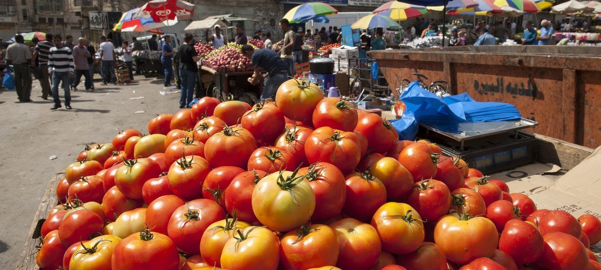 Tomato stand in market near Ramallah’s main mosque.