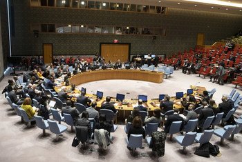Le Conseil de sécurité des Nations Unies (archive)