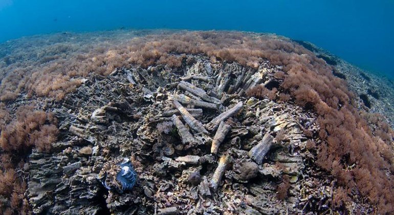 A pesca com bomba destrói os corais e o habitat que fornece o sistema de suporte de vida para espécies que habitam os recifes de corais.