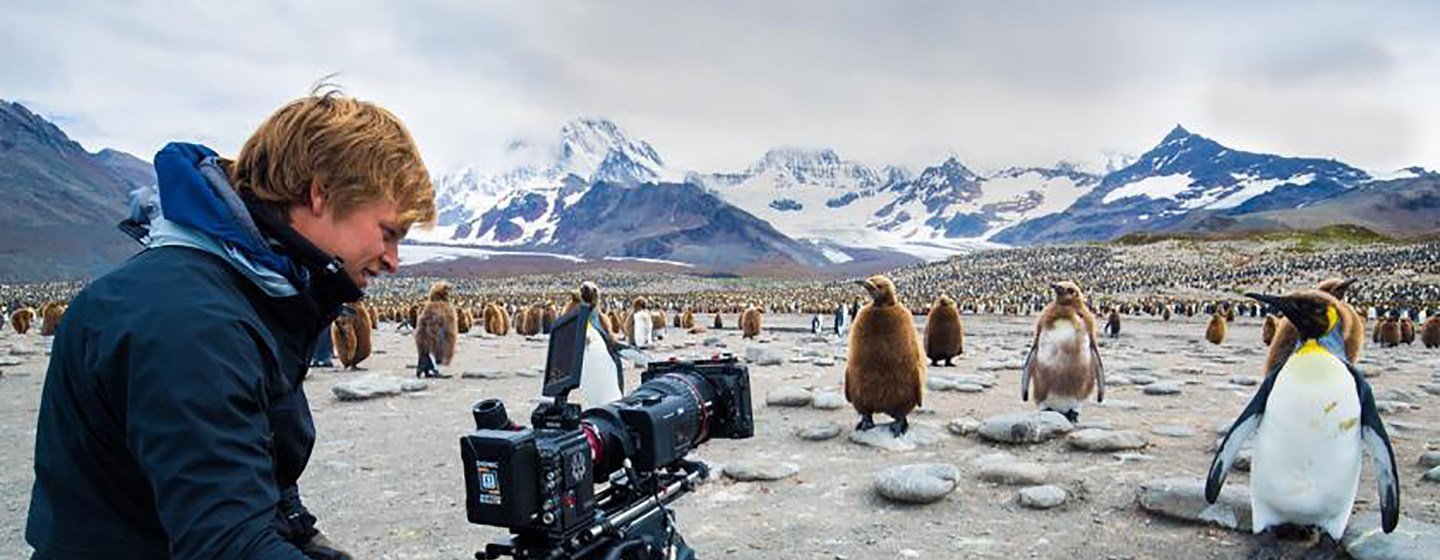 Bertie Gregory é um cineasta, fotógrafo e apresentador de animais selvagens.