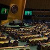 Заседание Генеральной Ассамблеи ООН "Положение на временно оккупированных территориях Украины"