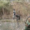 联合国南苏丹特派团（UNMISS）在班提乌平民保护点附近进行巡逻，为前往营地外捡拾柴火的妇女提供安全保护。