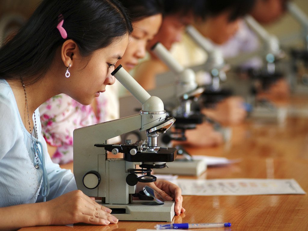 فتيات يدرسن العلوم في فيتنام. رغم أن عددا أكبر من الفتيات حول العالم صرن يلتحقن بالمدارس ، إلا أنهم غير ممثلات بشكل كاف في مواضيع العلوم والتكنولوجيا والهندسة والرياضيات.