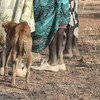 最近几周报道了强奸和性侵犯事件后，联合国南苏丹特派团在团结州北部加强了道路巡逻。