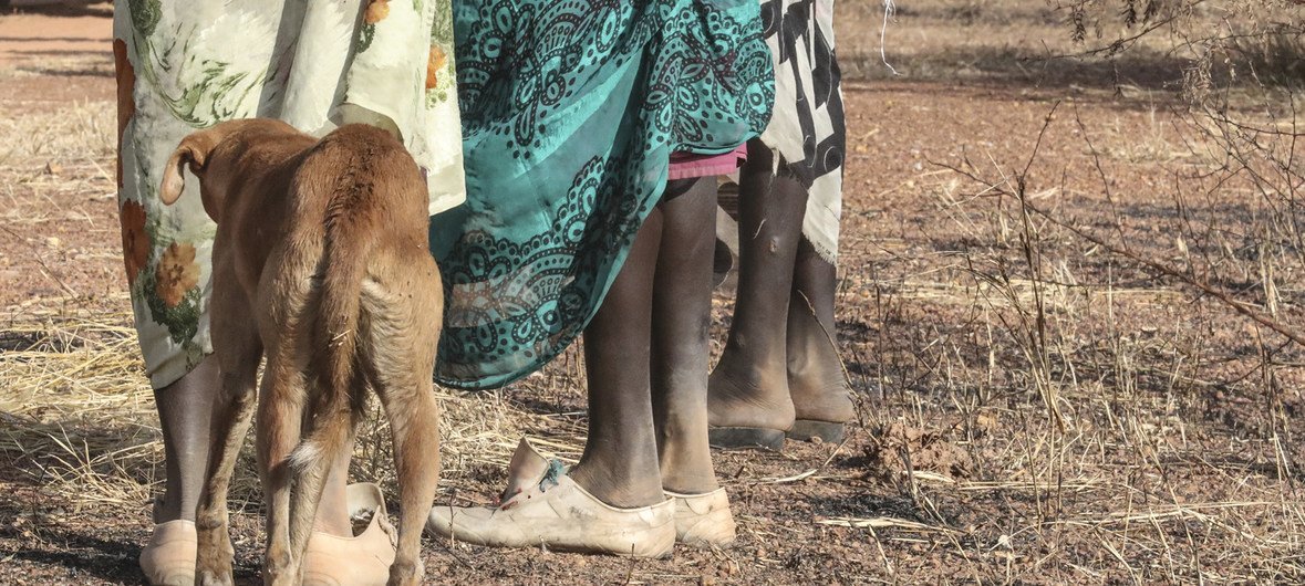 Shocking incidents of rape in South Sudan, have led to an intensification of road patrols by the UN Mission, UNMISS, to try and protect women and girls while walking.