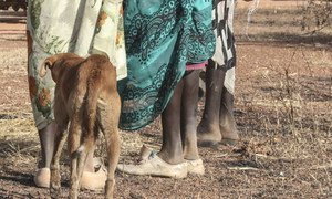 Shocking incidents of rape in South Sudan, have led to an intensification of road patrols by the UN Mission, UNMISS, to try and protect women and girls while walking.