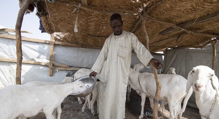 Mohammed Lawan Goni, mkimbizi kutoka Nigeria akisali na familia yake katika kambi ya Minawao nchini Cameroon.