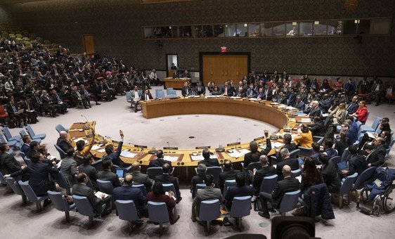 Os cinco novos membros do Conselho de Segurança a serem eleitos este ano tomarão posse em janeiro de 2022