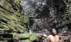 Povos indígenas vivem vidas mais curtas. A expectativa de vida dos povos indígenas é até 20 anos menor do que outras pessoas.