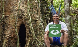 Comunidades indígenas são líderes na proteção do meio ambiente. Quase 70 milhões de mulheres e homens indígenas dependem das florestas para sua subsistência, e muitos mais são agricultores, caçadores ou pastores.
