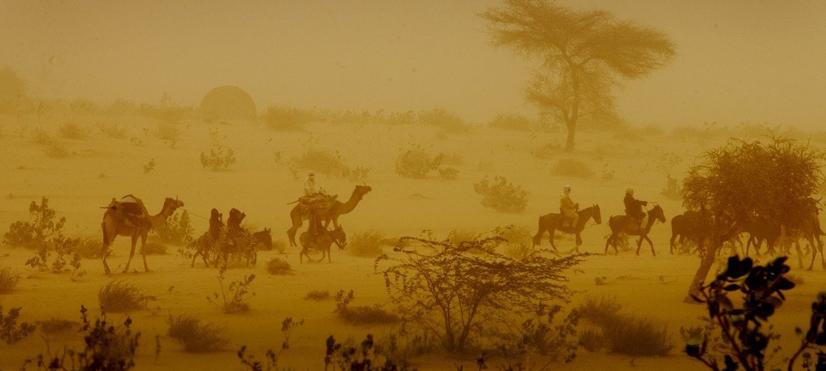 Des hommes traversent une tempête de sable à dos de chameaux et d'ânes près de la ville de Mao, dans la région de Kanem au Tchad.