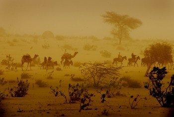 Des hommes traversent une tempête de sable à dos de chameaux et d'ânes près de la ville de Mao, dans la région de Kanem au Chad.