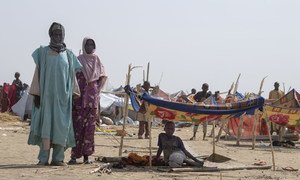Des milliers de réfugiés du Nigéria sont arrivés dans le village de Goura, dans le nord-est du Cameroun, fuyant les attaques de Boko Haram.
