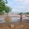 马拉维屡遭受严重洪灾。图为2015年一次洪水过后的景象。 