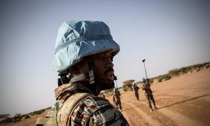 Guinean blue helmet in Mali